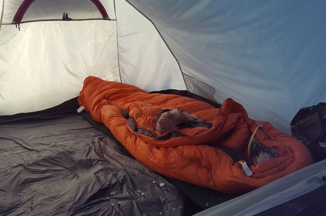Fj&auml;llr&auml;ven Polar
